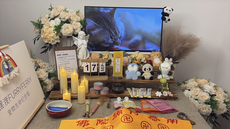 开封宠物墓地怎么选：树葬、草葬与独立墓区的区别